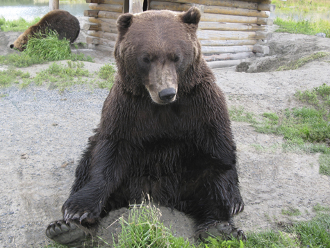 Melanie Heinrich Images - Alaska